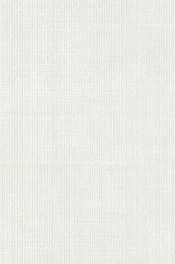 Y48395